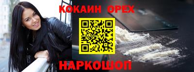 гашик Моздок
