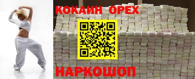 гашик Моздок