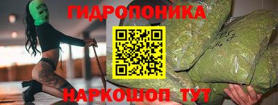Альфа ПВП Можайск