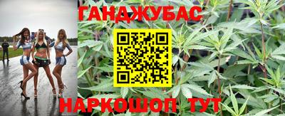 гашик Моздок