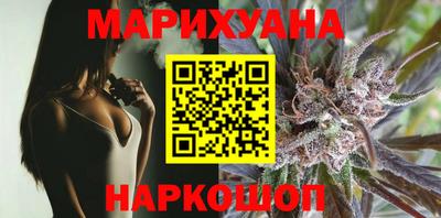 гашик Моздок