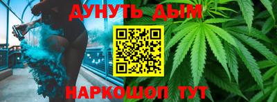 гашик Моздок
