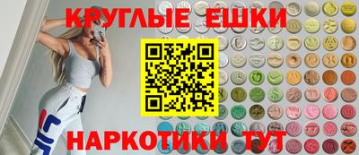 гашик Моздок