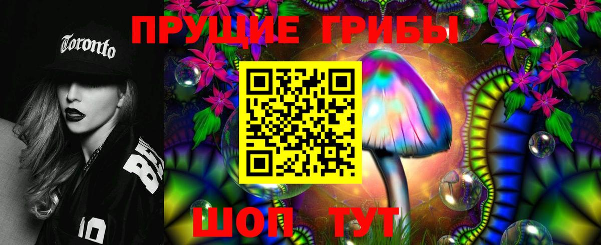 Псилоцибиновые грибы Psilocybine cubensis  Псилоцибиновые грибы прущие грибы  Ижевск  Вход с VPN 